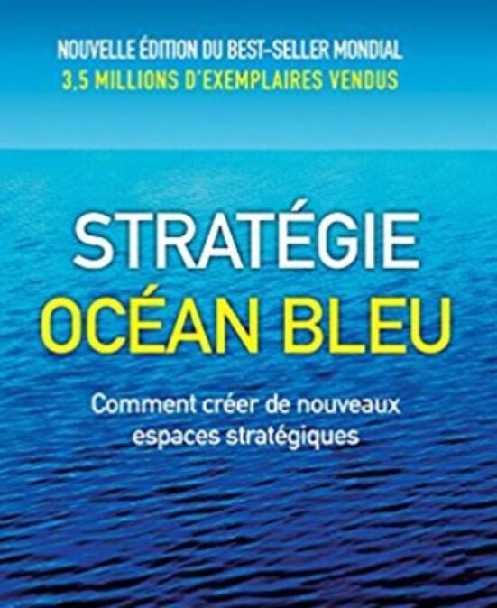 La stratégie de l'Océan bleu, une perspective économique